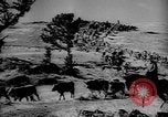 Immagine di I cowboys sul ranch United States USA, 1940, secondo 48 filmato di repertorio 65675052587