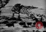 Immagine di I cowboys sul ranch United States USA, 1940, secondo 49 filmato di repertorio 65675052587