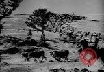 Immagine di I cowboys sul ranch United States USA, 1940, secondo 50 filmato di repertorio 65675052587