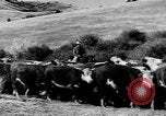 Immagine di I cowboys sul ranch United States USA, 1940, secondo 53 filmato di repertorio 65675052587
