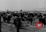 Immagine di I cowboys sul ranch United States USA, 1940, secondo 56 filmato di repertorio 65675052587