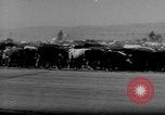 Immagine di I cowboys sul ranch United States USA, 1940, secondo 59 filmato di repertorio 65675052587