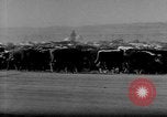 Immagine di I cowboys sul ranch United States USA, 1940, secondo 60 filmato di repertorio 65675052587
