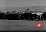 Immagine di I cowboys sul ranch United States USA, 1940, secondo 61 filmato di repertorio 65675052587