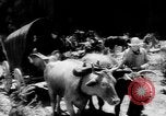 Immagine di Lo sviluppo industriale della storia United States USA, 1968, secondo 14 filmato di repertorio 65675052589
