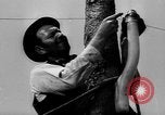 Immagine di Lo sviluppo industriale della storia United States USA, 1968, secondo 24 filmato di repertorio 65675052589