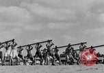 Standbild 8 britische Soldaten Nordafrika, 1942, aus Sekunde 32 historischem Filmmaterial Videoclip 65675052595