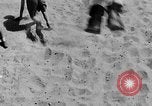 Standbild 8 britische Soldaten Nordafrika, 1942, aus Sekunde 47 historischem Filmmaterial Videoclip 65675052595