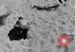 Standbild 8 britische Soldaten Nordafrika, 1942, aus Sekunde 49 historischem Filmmaterial Videoclip 65675052595