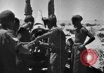 Immagine di British 7 Divisione Corazzate El Alamein Egitto, 1942, secondo 13 filmato di repertorio 65675052600