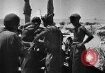 Immagine di British 7 Divisione Corazzate El Alamein Egitto, 1942, secondo 14 filmato di repertorio 65675052600
