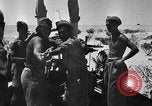 Immagine di British 7 Divisione Corazzate El Alamein Egitto, 1942, secondo 17 filmato di repertorio 65675052600