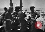 Immagine di British 7 Divisione Corazzate El Alamein Egitto, 1942, secondo 18 filmato di repertorio 65675052600