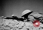 Immagine di British 7 Divisione Corazzate El Alamein Egitto, 1942, secondo 24 filmato di repertorio 65675052600