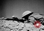 Immagine di British 7 Divisione Corazzate El Alamein Egitto, 1942, secondo 25 filmato di repertorio 65675052600