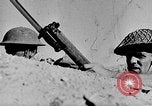 Immagine di British 7 Divisione Corazzate El Alamein Egitto, 1942, secondo 26 filmato di repertorio 65675052600
