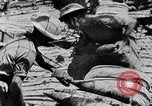 Immagine di British 7 Divisione Corazzate El Alamein Egitto, 1942, secondo 34 filmato di repertorio 65675052600