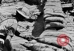 Immagine di British 7 Divisione Corazzate El Alamein Egitto, 1942, secondo 35 filmato di repertorio 65675052600