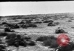 Immagine di British 7 Divisione Corazzate El Alamein Egitto, 1942, secondo 46 filmato di repertorio 65675052600