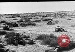 Immagine di British 7 Divisione Corazzate El Alamein Egitto, 1942, secondo 47 filmato di repertorio 65675052600
