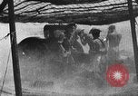 Immagine di British 7 Divisione Corazzate El Alamein Egitto, 1942, secondo 54 filmato di repertorio 65675052600