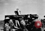Immagine di British 7 Divisione Corazzate El Alamein Egitto, 1942, secondo 56 filmato di repertorio 65675052600