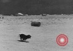 Image of General Bernard Montgomery El Alamein Egypt, 1942, second 31 stock footage video 65675052601
