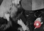 Image of Local  Leader meets with Russian villagers Russia, 1921, second 49 stock footage video 65675052608