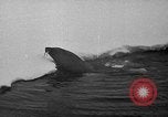 Immagine di USS Burton Island McClure stretto in Canada, 1954, secondo 19 filmato di repertorio 65675052609