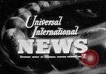 Image of Virologist Jonas Edward Salk United States USA, 1955, second 1 stock footage video 65675052613