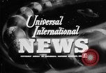 Image of Virologist Jonas Edward Salk United States USA, 1955, second 3 stock footage video 65675052613