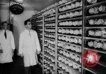 Image of Virologist Jonas Edward Salk United States USA, 1955, second 31 stock footage video 65675052613