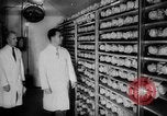 Image of Virologist Jonas Edward Salk United States USA, 1955, second 32 stock footage video 65675052613