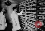 Image of Virologist Jonas Edward Salk United States USA, 1955, second 33 stock footage video 65675052613