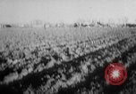 Image of wrecked planes United States USA, 1955, second 5 stock footage video 65675052616
