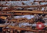 Image s'est effondré membres de toit Japon, 1946, de la seconde 38 séquences d'archives historiques vidéo 65675052632