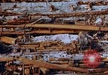 Image s'est effondré membres de toit Japon, 1946, de la seconde 39 séquences d'archives historiques vidéo 65675052632