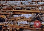 Image s'est effondré membres de toit Japon, 1946, de la seconde 41 séquences d'archives historiques vidéo 65675052632