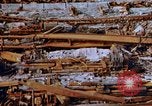 Image s'est effondré membres de toit Japon, 1946, de la seconde 42 séquences d'archives historiques vidéo 65675052632