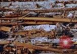 Image s'est effondré membres de toit Japon, 1946, de la seconde 43 séquences d'archives historiques vidéo 65675052632
