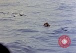 Image of US submarine rescues survivors from Japanese boat Pacific Ocean, 1945, second 59 stock footage video 65675052640