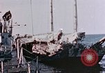 Image Commandant George L Street III Japon, 1946, de la seconde 19 séquences d'archives historiques vidéo 65675052646