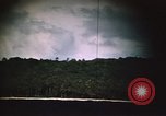Immagine di Rive boscose Babelthuap isola del Pacifico Palau, 1945, secondo 33 filmato di repertorio 65675052651