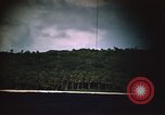 Immagine di Rive boscose Babelthuap isola del Pacifico Palau, 1945, secondo 34 filmato di repertorio 65675052651