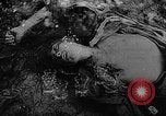 Standbild Ausbildung von japanischen Soldaten in Zweiten Weltkrieg Marianen, 1945, aus Sekunde 21 historischem Filmmaterial Videoclip 65675052672