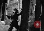 Standbild Ausbildung von japanischen Soldaten in Zweiten Weltkrieg Marianen, 1945, aus Sekunde 47 historischem Filmmaterial Videoclip 65675052672