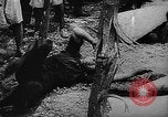 Standbild Ausbildung von japanischen Soldaten in Zweiten Weltkrieg Marianen, 1945, aus Sekunde 59 historischem Filmmaterial Videoclip 65675052672