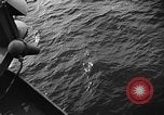 Standbild Vereinigten Staaten Truppen Leyte Philippinen, 1945, aus Sekunde 4 historischem Filmmaterial Videoclip 65675052674