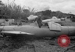 Standbild Japanisches Baka-Selbstmordbombenflugzeug Okinawa Ryukyu Inseln, 1945, aus Sekunde 49 historischem Filmmaterial Videoclip 65675052675