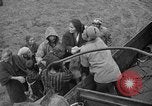 Immagine di Le truppe statunitensi internano i civili a Okinawa Okinawa isole Ryukyu, 1945, secondo 16 filmato di repertorio 65675052676
